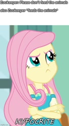 Size: 500x914 | Tagged: safe, edit, edited screencap, screencap, fluttershy, a little birdie told me, equestria girls, g4, my little pony equestria girls: better together, caption, female, image macro, imgflip, solo, text