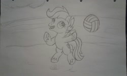 Size: 2560x1536 | Tagged: safe, artist:peternators, scootaloo, pegasus, pony, g4, ball, female, filly, jumping, monochrome, sketch, solo, sports, traditional art, volleyball