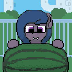 Size: 800x800 | Tagged: safe, artist:vohd, oc, oc only, bat pony, pony, animated, canterlot, fangs, food, frame by frame, not blood, pixel art, solo, watermelon