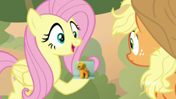 Size: 1280x720 | Tagged: safe, edit, edited screencap, editor:background pony #91z0, screencap, applejack, fluttershy, earth pony, pegasus, pony, g4, sounds of silence, applejack's hat, cowboy hat, discovery family logo, duo, female, freckles, hat, hoof hold, irl, looking at each other, mare, messy mane, photo, plushie, raised hoof