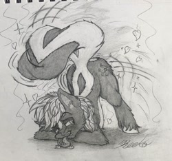 Size: 1465x1370 | Tagged: safe, artist:reekosukanku, oc, oc only, oc:reeko, pony, skunk, skunk pony, drool, face down ass up, male, monochrome, solo, stallion, tongue out, traditional art