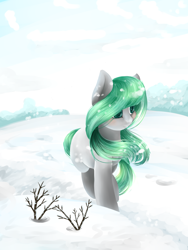 Size: 1500x2000 | Tagged: safe, artist:intfighter, oc, oc only, earth pony, pony, earth pony oc, outdoors, snow, solo