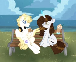 Size: 2048x1672 | Tagged: safe, artist:n in a, oc, oc only, oc:brittneigh ackermane, oc:john kenza, pegasus, pony, unicorn, bench, chest fluff, cloud, cup, cute, duo, female, food, grass, grass field, headphones, horn, levitation, looking at each other, magic, male, mare, pegasus oc, sitting, sky, smiling, stallion, telekinesis, unicorn oc, wingding eyes, wings