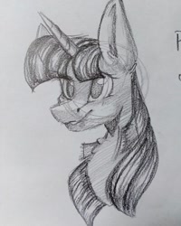 Size: 1080x1350 | Tagged: safe, artist:gigins_arts, artist:gigo-speedpaint, twilight sparkle, pony, g4, bust, female, grayscale, mare, monochrome, no pupils, pencil drawing, sketch, solo, traditional art