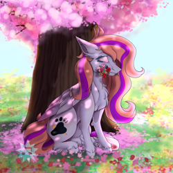 Size: 4000x4000 | Tagged: safe, artist:luzreal, oc, oc only, oc:bittersweet, pegasus, pony, cherry blossoms, colored wings, flower, gradient wings, long mane, long tail, shading, solo, tree, wings