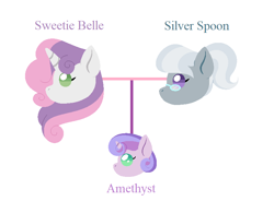 Size: 784x613 | Tagged: safe, artist:hazardous-andy, silver spoon, sweetie belle, oc, oc:amethyst, pony, g4, family tree, female, foal, lesbian, magical lesbian spawn, offspring, parent:silver spoon, parent:sweetie belle, parents:silverbelle, ship:silverbelle, shipping, simple background, white background