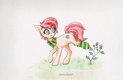 Size: 3100x2011 | Tagged: safe, artist:cloud_up, oc, oc only, oc:rusty gears, earth pony, pony, clothes, female, heterochromia, high res, plant, scarf, sock, socks, solo, striped socks, stuck