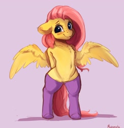 Size: 2815x2887 | Tagged: safe, artist:miokomata, fluttershy, pegasus, pony, semi-anthro, g4, arm behind back, belly button, bipedal, blushing, chest fluff, clothes, cute, female, floppy ears, freckles, freckleshy, high res, hooves behind back, looking at you, purple background, shyabetes, simple background, socks, solo, spread wings, wings