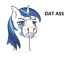 Size: 1244x1024 | Tagged: safe, edit, shining armor, pony, unicorn, g4, blood, crying, horn, male, meme, short horn, the ass was fat, wojak