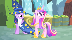 Size: 1920x1080 | Tagged: safe, screencap, princess cadance, twilight sparkle, alicorn, pony, g4, season 4, three's a crowd, cloak, clothes, costume, duo, duo female, fair, fake beard, female, hat, hoof shoes, lidded eyes, mare, sisters-in-law, smug, smuglight sparkle, star swirl the bearded costume, twilight sparkle (alicorn), wizard hat