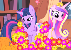 Size: 2090x1461 | Tagged: safe, screencap, princess cadance, twilight sparkle, alicorn, pony, g4, three's a crowd, cropped, duo, female, flower, golden oaks library, pumpkin, sisters-in-law, twilight sparkle (alicorn)