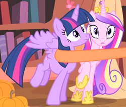 Size: 1760x1497 | Tagged: safe, screencap, princess cadance, twilight sparkle, alicorn, pony, g4, three's a crowd, cropped, duo, female, golden oaks library, silk, sisters-in-law, twilight sparkle (alicorn)