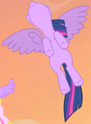 Size: 842x1141 | Tagged: safe, screencap, princess cadance, twilight sparkle, alicorn, pony, g4, three's a crowd, cropped, female, flying, mare, offscreen character, solo, twilight sparkle (alicorn)