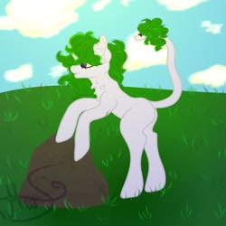 Size: 762x762 | Tagged: safe, artist:nel_liddell, oc, oc only, pony, unicorn, chest fluff, cloud, horn, leonine tail, outdoors, rearing, signature, solo, unicorn oc