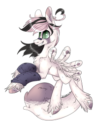 Size: 1506x1931 | Tagged: safe, artist:intfighter, oc, oc only, pegasus, pony, grin, leg warmers, pegasus oc, simple background, smiling, solo, transparent background, unshorn fetlocks, wings