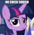 Size: 500x507 | Tagged: safe, edit, edited screencap, editor:twi clown, screencap, twilight sparkle, alicorn, pony, flutter brutter, g4, caption, cropped, female, image macro, looking at you, mare, raised eyebrow, solo, text, twilight sparkle (alicorn)