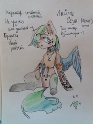 Size: 1620x2160 | Tagged: safe, artist:ellis_sunset, oc, oc only, pegasus, pony, choker, cigarette, cyrillic, one wing out, pegasus oc, reference sheet, sitting, smoking, solo, tattoo, traditional art, wings
