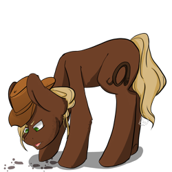 Size: 2000x2000 | Tagged: safe, artist:daniefox, oc, oc only, oc:indiana hooves, earth pony, pony, high res, male, simple background, solo, stallion, transparent background
