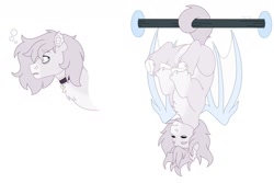 Size: 1280x854 | Tagged: safe, artist:itstechtock, oc, oc only, oc:sleepyhead, bat pony, hybrid, pony, behaving like a bat, interspecies offspring, magical lesbian spawn, male, offspring, parent:pinkie pie, parent:princess skystar, parents:skypie, simple background, solo, stallion, white background