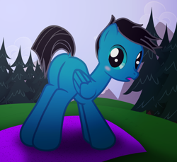 Size: 7200x6600 | Tagged: safe, artist:agkandphotomaker2000, oc, oc:pony video maker, pegasus, pony, ass up, blushing, butt, dock, exercise mat, forest, looking at you, mountain, pine tree, plot, rug, show accurate, sultry pose, tree, yoga