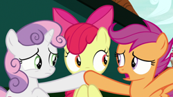 Size: 1920x1080 | Tagged: safe, screencap, apple bloom, scootaloo, sweetie belle, earth pony, pegasus, pony, unicorn, g4, the big mac question, cutie mark crusaders, female, filly