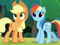 Size: 1320x1000 | Tagged: safe, screencap, applejack, rainbow dash, earth pony, pegasus, pony, g4, non-compete clause, cropped, cute, dashabetes, duo, female, jackabetes, mare, smiling