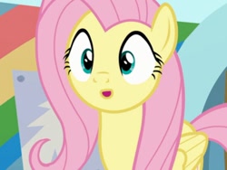Size: 830x623 | Tagged: safe, screencap, fluttershy, g4, she's all yak, :o, open mouth
