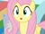 Size: 830x623 | Tagged: safe, screencap, fluttershy, g4, my little pony: friendship is magic, she's all yak, :o, open mouth