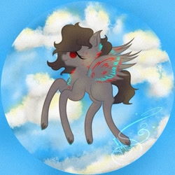 Size: 711x711 | Tagged: safe, artist:nel_liddell, oc, oc only, pegasus, pony, chest fluff, cloud, flying, pegasus oc, signature, solo, wings