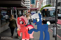 Size: 2048x1365 | Tagged: safe, artist:ponyrailartist, oc, oc only, oc:downvote, oc:snowy knight, earth pony, pegasus, pony, derpibooru, building, bus, bus stop, derpibooru ponified, dowy, irl, meta, photo, ponies in real life, ponified, san francisco, show accurate, sidewalk, watermark