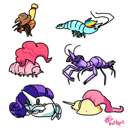 Size: 500x500 | Tagged: safe, artist:hotkoin, applejack, fluttershy, pinkie pie, rainbow dash, rarity, twilight sparkle, arachnid, crab, horseshoe crab, isopod, shrimp, g4, crabbity, crabified, crustacean, female, invertebrate, mane six, maybe salmon, my little x, not salmon, shrimpified, species swap, wat