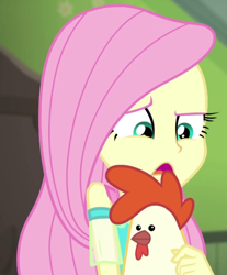 Size: 588x710 | Tagged: safe, screencap, fluttershy, bird, chicken, human, costume conundrum, costume conundrum: applejack, equestria girls, g4, my little pony equestria girls: better together, cropped, female