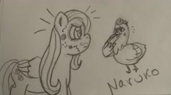 Size: 4000x2244 | Tagged: safe, artist:wrath-marionphauna, derpibooru exclusive, fluttershy, bird, chicken, g4, face doodle, laughing, pencil drawing, requested art, stare, the stare, traditional art, wing hands, wings