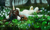 Size: 2433x1451 | Tagged: safe, artist:teaflower300, oc, oc only, pony, unicorn, chest fluff, flower, forest, horn, lying, lying down, lying in grass, on back, rain, scenery, scenery porn, solo, tree, water