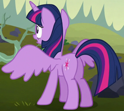 Size: 1180x1063 | Tagged: safe, screencap, twilight sparkle, alicorn, pony, g4, the hooffields and mccolts, butt, cropped, female, plot, solo, spread wings, twibutt, twilight sparkle (alicorn), wings