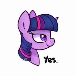 Size: 4000x4000 | Tagged: safe, artist:handgunboi, twilight sparkle, pony, bust, chad, chadlight sparkle, female, lidded eyes, mare, meme, nordic gamer, ponified meme, simple background, smiling, solo, watermark, white background, yes