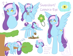 Size: 2900x2200 | Tagged: safe, artist:buttercupbella5182, oc, oc only, pegasus, pony, bust, camera, eyes closed, grin, high res, onomatopoeia, pegasus oc, raised hoof, reference sheet, sleeping, smiling, solo, sound effects, wings, zzz