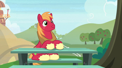 Size: 1920x1080 | Tagged: safe, screencap, big macintosh, earth pony, pony, g4, the big mac question, male, solo