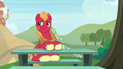 Size: 1920x1080 | Tagged: safe, screencap, big macintosh, earth pony, pony, g4, the big mac question, male, sitting, solo, stallion