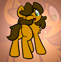 Size: 3200x3250 | Tagged: safe, artist:php142, oc, oc only, oc:alex the chubby pony, earth pony, pony, butt, chest fluff, colored pupils, commission, cute, dock, gradient background, high res, looking at you, looking back, looking back at you, male, one eye closed, open mouth, plot, rear view, smiling, solo, stallion, wink, winking at you, zoom layer