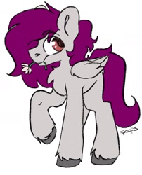 Size: 1139x1412 | Tagged: safe, artist:spoopygander, oc, oc only, oc:dr.heart, clydesdale, pegasus, pony, chest fluff, digital, flower, hoof fluff, simple background, solo, white background