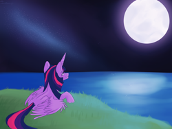 Size: 2000x1500 | Tagged: safe, artist:citrus-flamingo, twilight sparkle, alicorn, pony, g4, female, full moon, grass, looking up, lying down, moon, night, ocean, prone, smiling, solo, stars, twilight sparkle (alicorn)