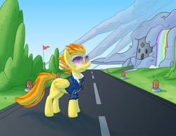 Size: 800x619 | Tagged: safe, artist:coyoteesquire, spitfire, pegasus, pony, g4, commission, female, mare, solo, standing