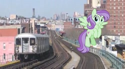 Size: 2048x1142 | Tagged: safe, artist:cheezedoodle96, artist:topsangtheman, edit, violet twirl, pegasus, pony, g4, friendship student, irl, looking at you, new york city, new york city subway, photo, ponies in real life, solo