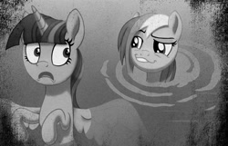Size: 2000x1288 | Tagged: safe, artist:crystalightx, derpibooru exclusive, rainbow dash, twilight sparkle, alicorn, pegasus, pony, deep tissue memories, g4, my little pony: friendship is forever, b&w, black and white, face, faic, female, grayscale, grin, mare, monochrome, rainbow dash is best facemaker, scene interpretation, smiling, smirk, smug, smugdash, twilight sparkle (alicorn), water, wet, wet mane, wet mane rainbow dash