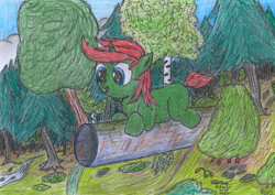 Size: 2270x1608 | Tagged: safe, artist:vovi, oc, oc only, oc:void virgin sparkles, pony, unicorn, colt, dock, foal, happy, male, nature, solo, traditional art