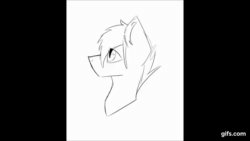 Size: 640x360 | Tagged: safe, artist:toptian, oc, oc only, earth pony, pony, animated, blinking, bust, earth pony oc, gif, lineart, monochrome, solo