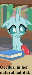 Size: 273x637 | Tagged: safe, edit, edited screencap, editor:korora, screencap, ocellus, changedling, changeling, g4, what lies beneath, book, bookbug, bookshelf, cropped, cute, diaocelles, library, school of friendship, solo, sweet dreams fuel, text