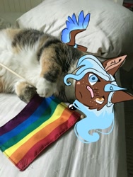 Size: 810x1080 | Tagged: safe, artist:ellis_sunset, oc, oc only, alicorn, cat, pony, alicorn oc, bandaid, bandaid on nose, bed, female, freckles, gay pride flag, heterochromia, horn, irl, mare, photo, pillow, pride, pride flag, two toned wings, wings