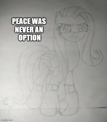 Size: 500x571 | Tagged: safe, artist:cobra0281, fluttershy, pegasus, pony, g4, angry, boxing gloves, female, grayscale, monochrome, peace was never an option, pencil drawing, photo, ponified animal photo, solo, traditional art, you're doing it wrong